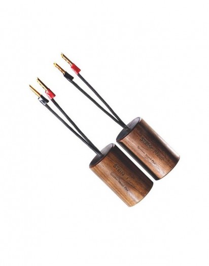 Stein Music Speaker Match Plus