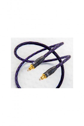 Glass Master Toslink